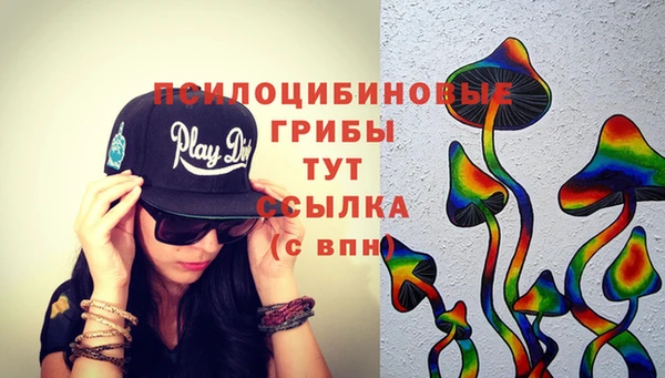 индика Пересвет