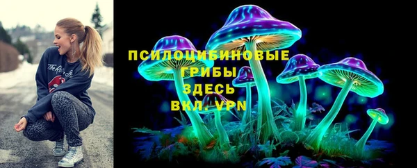 кристаллы Покачи