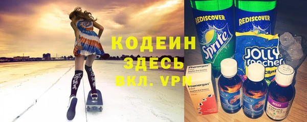 индика Пересвет
