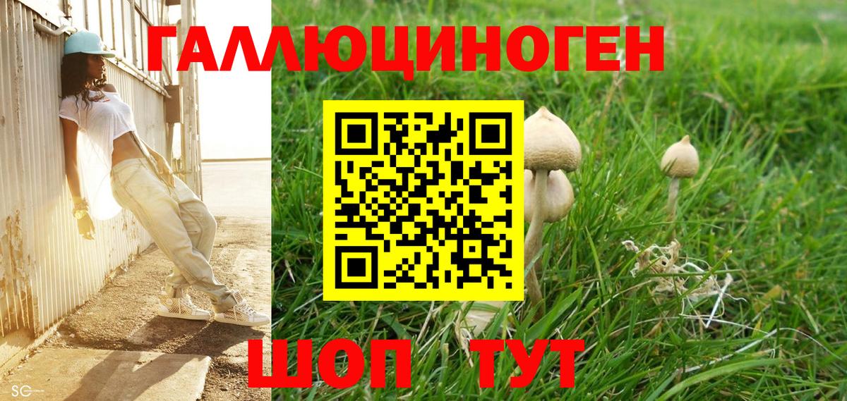 Галлюциногенные грибы Psilocybine cubensis Соликамск