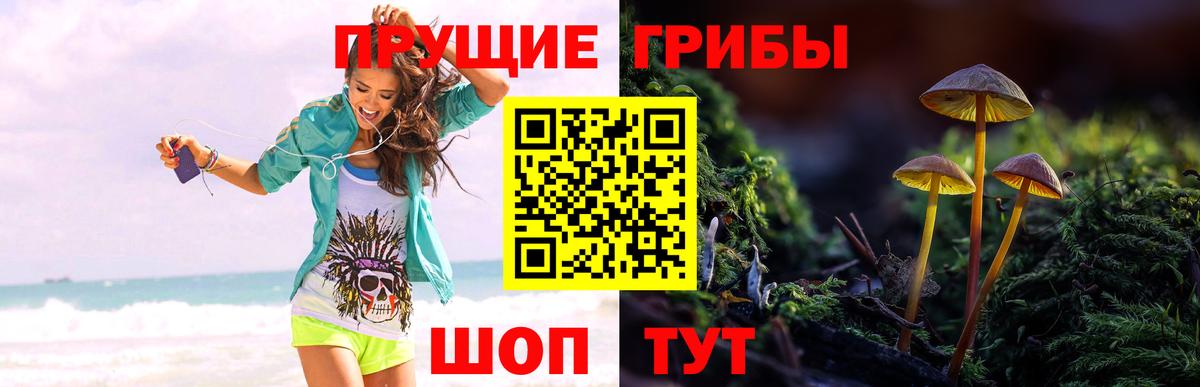 Псилоцибиновые грибы Magic Shrooms Соликамск